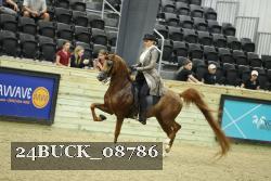 24BUCK_08786 thumbnail