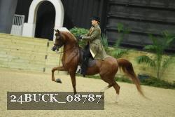 24BUCK_08787 thumbnail