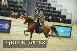 24BUCK_08788 thumbnail