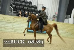 24BUCK_08789 thumbnail
