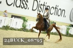 24BUCK_08795 thumbnail