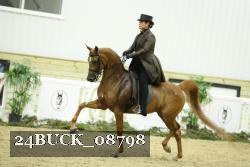 24BUCK_08798 thumbnail