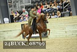 24BUCK_08799 thumbnail