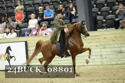 24BUCK_08801 thumbnail
