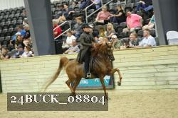 24BUCK_08804 thumbnail