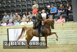 24BUCK_08806 thumbnail