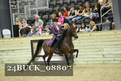 24BUCK_08807 thumbnail