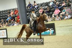 24BUCK_08809 thumbnail