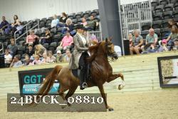 24BUCK_08810 thumbnail