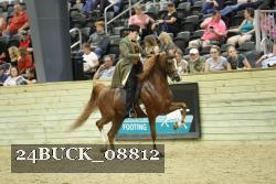 24BUCK_08812 thumbnail