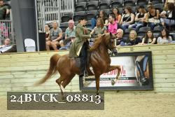 24BUCK_08813 thumbnail