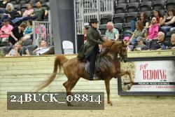 24BUCK_08814 thumbnail