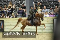 24BUCK_08815 thumbnail