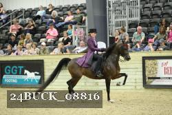 24BUCK_08816 thumbnail