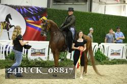 24BUCK_08817 thumbnail