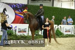 24BUCK_08818 thumbnail