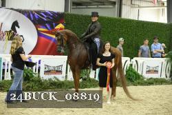 24BUCK_08819 thumbnail