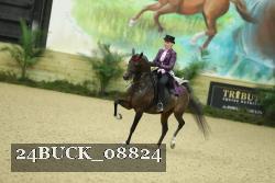24BUCK_08824 thumbnail