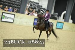24BUCK_08825 thumbnail