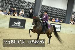 24BUCK_08826 thumbnail