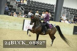 24BUCK_08827 thumbnail