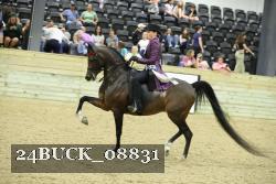 24BUCK_08831 thumbnail