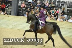 24BUCK_08833 thumbnail
