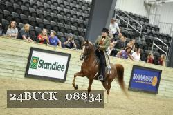 24BUCK_08834 thumbnail