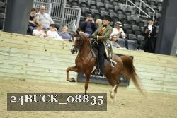 24BUCK_08835 thumbnail