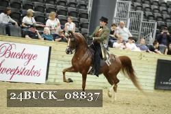 24BUCK_08837 thumbnail