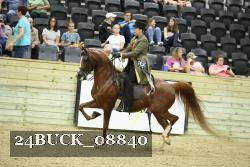 24BUCK_08840 thumbnail