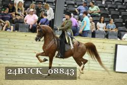 24BUCK_08843 thumbnail