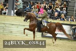 24BUCK_08844 thumbnail