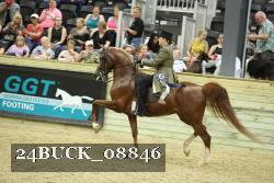 24BUCK_08846 thumbnail