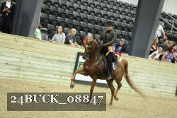 24BUCK_08847 thumbnail