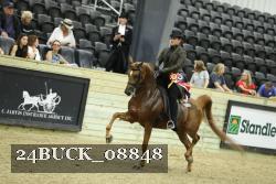 24BUCK_08848 thumbnail
