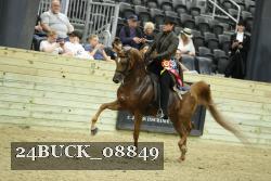 24BUCK_08849 thumbnail