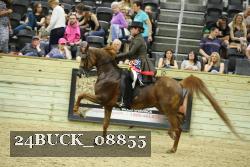24BUCK_08855 thumbnail