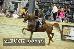 24BUCK_08858 thumbnail