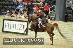 24BUCK_08859 thumbnail