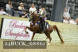 24BUCK_08861 thumbnail