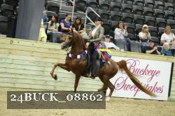 24BUCK_08862 thumbnail