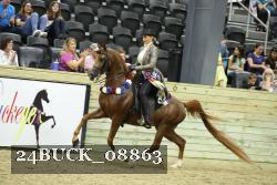 24BUCK_08863 thumbnail