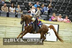24BUCK_08864 thumbnail