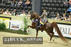 24BUCK_08866 thumbnail