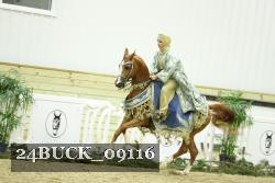 24BUCK_09116 thumbnail