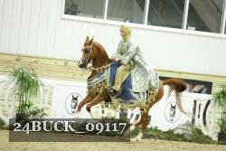24BUCK_09117 thumbnail