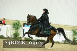 24BUCK_09124 thumbnail
