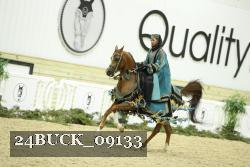 24BUCK_09133 thumbnail