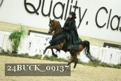 24BUCK_09137 thumbnail